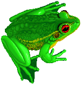 frog