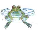 frog