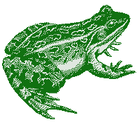 frog