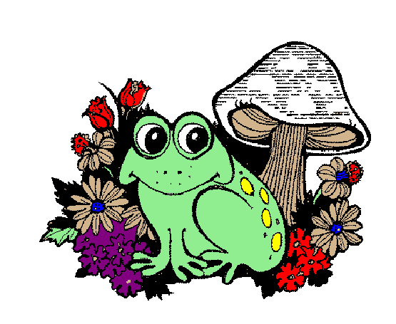frog