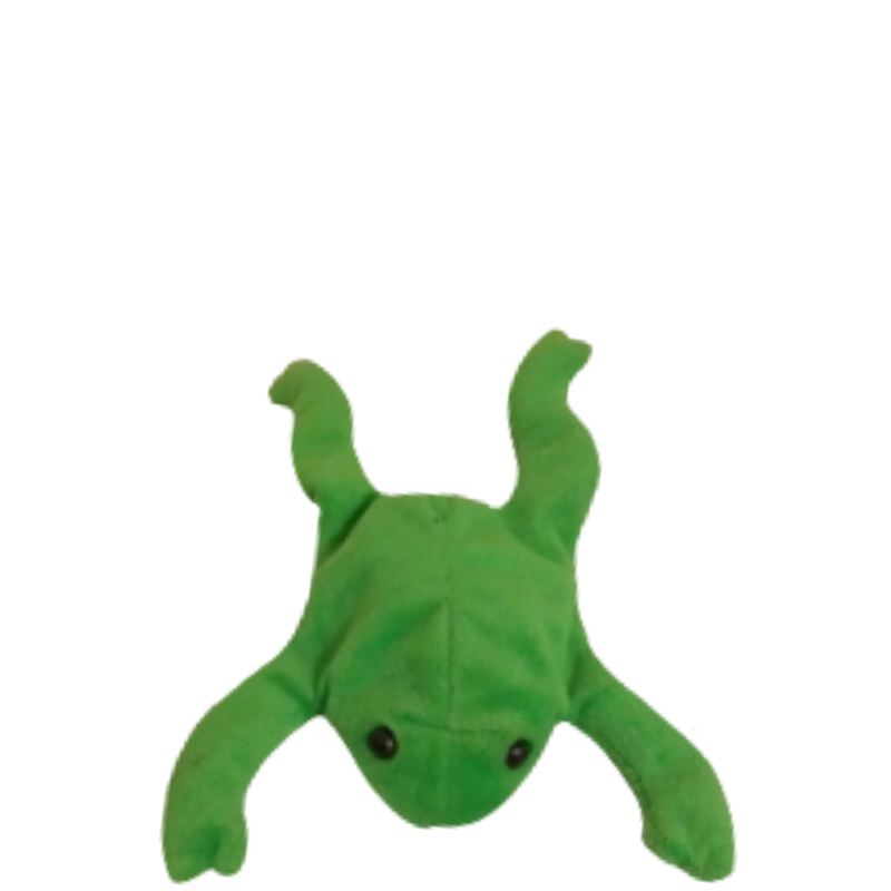 frog