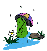 frog