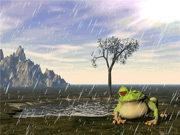 frog