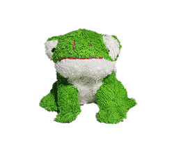 frog