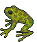 frog