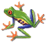 frog