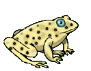 frog