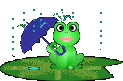 frog