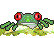 frog