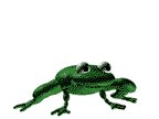 frog