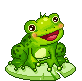 frog