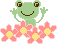 frog