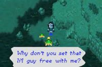 turtle dialogue: why don't you set that li'l guy free with me?