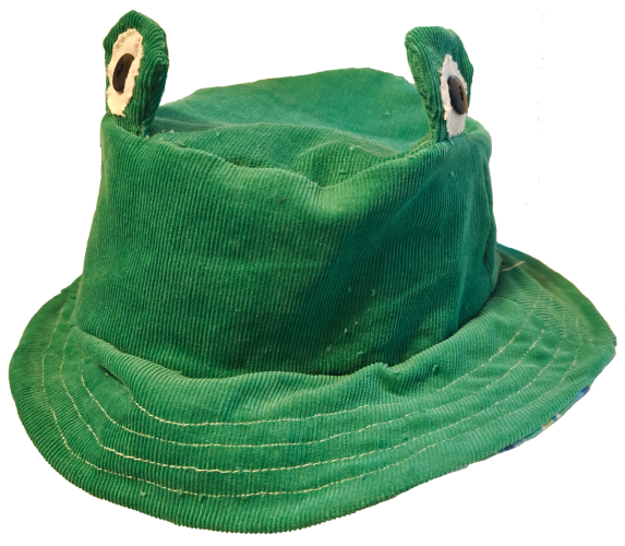 froggy bucket hat